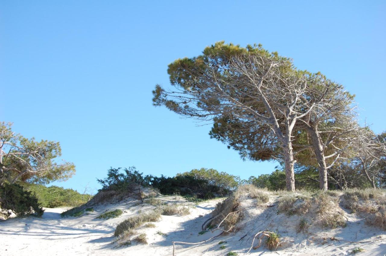 Residence Buganvillea Alghero Eksteriør bilde